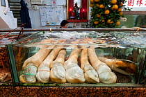 Molluscs in tank beside seafood restaurants, Lei Yue Mun harbour, Hong Kong, China, April 2009.