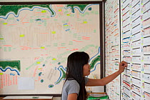 Jewelmer Pearlfarm administrator planning workflow of oyster maintainance, Philippines, April 2010