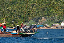 Funae fishermen catching skipjack tuna near Manado Tua using anchovies as live bait, Bunaken Island, Sulawesi, Indonesia, October 2009.