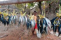 Fresh fish for sale on the streets of Dili to passing vehicles and pedestrians, East Timor, August 2010.