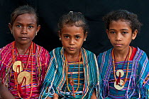 Portrait of three young East Timorese girls in traditional clothing, Maubara, East Timor, August 2010.