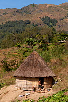 Traditional highland hut of Maubisse, East Timor, August 2010.