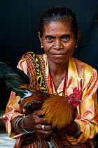 Portrait of East Timorese woman in traditional clothing with chicken, Maubara, East Timor, August 2010.
