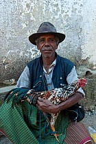 Portrait of East Timorese man in traditional clothing with chicken for cockfight, Maubara, East Timor, August 2010.