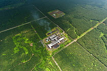 Aerial view of Palm oil plantation (Elaeis quineesis Jacq) New Britain Pam Oil Limited (NBPOL), Papua New Guinea, October 2008.