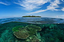 Split level view of coral reef and Sipadan Island, Sabah, Malaysia, June 2009.