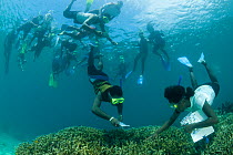 Mahonia Na Dari (Guardian of the Sea) Teacher Lorna Romaso leads a group of 16 students to snorkel and learn about the reef. West New Britain, Papua New Guinea, May 2010
