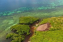 Aerial view of slash and burn areas on island causing run-off of soil into the coastal reefs, Palawan, Philippines, May 2009.