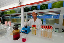Algae grown in laboratory as food for young Oysters at the Jewelmer Pearlfarm, Palawan, Philippines, May 2009