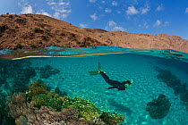 Split level of snorkeler over coral reef on white sandy seabed contrasting with dry topside landscape in background, Komodo NP, Indonesia, August 2009. Model released.
