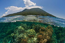 Coral reefs of Bunaken National Park, split level with the Manado Tua island in the background, North Sulawesi, Indonesia, October 2009.