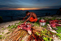 A Moluccan man slaughters a freshly caught Green turtle (Chelonia mydas) Moluccas Islands, Indonesia, November 2009.
