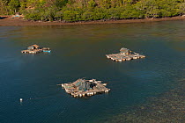 Aerial view of grow-out fish pens at fish farm in which line caught fish are grown on for the Live reef fish trade for export, Palawan, Philippines, April 2010.