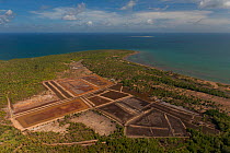 Aerial view of coastal mangroves with salt fields in the areas where mangroves have been cleared, Palawan, Philippines, April 2010.