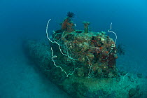 Japanese mini submarine wreck 50 meters away from the Sanko Maru wreck in New Hanover, Papua New Guinea, June 2010.