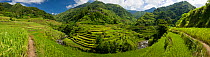Banaue ancient rice terraces, Ifugao, Philippines, July 2008, composite panoramic image.