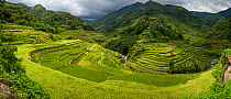 Banaue ancient rice terraces, Ifugao, Philippines, July 2008, composite image.