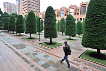 Bavaria Central Park, designed by Antonio Leiva and Michele Cescas, the most important landscape designers of Colombia. Bogota, Cundinamarca Department, Colombia, February 2011.