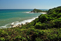Dry Coastal Caribbean vegetation of Tayrona National Natural Park. Municipality of Santa Marta, Magdalena Department, Colombia, February 2011.