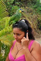 A woman on her mobile phone with Orange-winged Amazon (Amazona amazonica) parrot on her head. Near Tayrona National Natural Park, municipality of Santa Marta, Magdalena Department, Colombia, February...