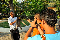 People taking photographs of a Brown-throated Three-toed Sloth (Bradypus variegatus) in Parque Centenario, downtown Cartagena de Indias city. Magdalena Department, Colombia, February 2011.