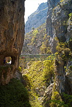 Footbridge over the Cares Gorge, Picos de Europa, Castilla y Leon, Spain, April 2011.