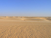 Desert landscape with dunes stretching to the horizon. Termit Massif, Niger, Africa.
