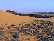Desert landscape. Termit Massif, Niger, Africa.
