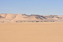 Desert landscape and an oasis in distance, Termit Massif, Niger, Africa.