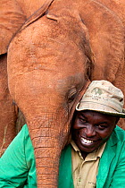 Elephant keeper with his young orphanElephant (Loxodonta africana). David Sheldrick Wildlife Trust Nairobi Elephant Nursery, Kenya, July 2010. Model released