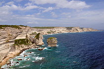 White limestone cliffs with sections that have collapsed into the sea. "Le Grain de Sable" (grain of sand) sea stack is central. Bonifacio, southern tip of Corsica, France, May 2010.