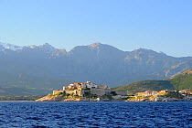 Medieval walled citadel of Calvi below snow covered peaks of the 2000m high Monte Padro ridge in dawn light. Corsica, France, May 2010.