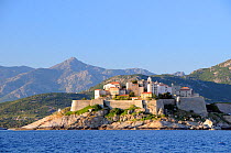 Medieval walled citadel of Calvi viewed from the sea at dawn with mountainous backdrop. Corsica, France, May 2010.
