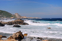 Waves breaking on rocky granitic coastline on a rough, windy day. Campomoro Point, near Propriano, Corsica, France, June 2010.