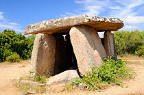 Neolithic Dolmen de Fontanaccia portal tomb ("The Devil's Forge") erected around 6000 years ago. Cauria, Corsica, France, May 2010.