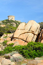 16th Century Genoese watchtower, the largest on Corsica, perched on a rocky headland, surrounded by huge weathered granite boulders and coastal maquis scrub. Campomoro Point, Corsica, France, May 2010...