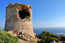 Ruined 17th Century Genoese watchtower perched on a granite outcrop. Cape Roccapina, overlooking the sea, southern Corsica, France, May 2010.