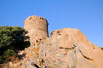 17th Century Genoese watchtower perched on a granite outcrop. Cape Roccapina, southern Corsica, France, May 2010.