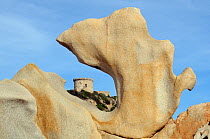 16th Century Genoese watchtower, the largest on Corsica, framed by granite rock sculpted by weather and sea. Campomoro Point in evening light, Corsica, France, May 2010.