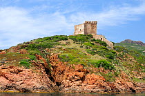 17th century Genoese watch tower perched on volcanic rock (rhyolite porphyry) headland, within a UNESCO World Heritage site and Corsica's National Park (Parc Naturel Regional de Corse). Corsica, Franc...