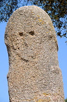 Close up of bronze age (c 3,500 years old) granite statue menhir standing stone at Filitosa with carved face. Corsica, France, June 2010.