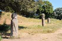Three tall Bronze age (c 3,500 years old) granite statue menhir standing stones at Filitosa with carved faces, one with a clear sword symbol. Corsica, France, June 2010.