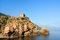 16th Century Genoese watchtower in dawn light, perched on a craggy red granite headland at Porto, within a UNESCO World Heritage coastal/marine site and Corsica's National Park (Parc Naturel Regional...
