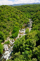River Taravo flowing down from Corsica's National Park (Parc Naturel Regional de Corse), through deciduous Mediterranean forest and under the 16th century Genoese Abra bridge. Near Propriano, Corsica,...