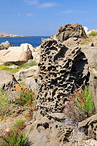 Weathered volcanic lava rocks and granite boulders on the coast at Campomoro Point. Near Propriano, Corsica, France, June 2010.