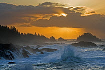 Rough seas crashing against rocky shore in front of a dramatic cloudy sky. The Broken Group Islands, Ucluelet, Vancouver Island, Canada.