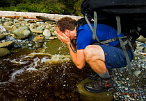 A hiker refreshing himself with water from a woodland stream. The West Coast Trail, Pacific Rim National Park, Vancouver Island, Canada, September.