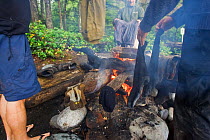 Hikers drying clothes around a campfire. The West Coast Trail, Pacific Rim National Park, Vancouver Island, Canada, September 2010.