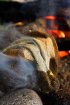 Socks steaming dry by a campfire. The West Coast Trail, Pacific Rim National Park, Vancouver Island, Canada, September 2010.