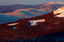 Wielka Rawka and Tarnica Peaks in snow. Bieszczady, Carpathian Mountains, Poland, January 2010.